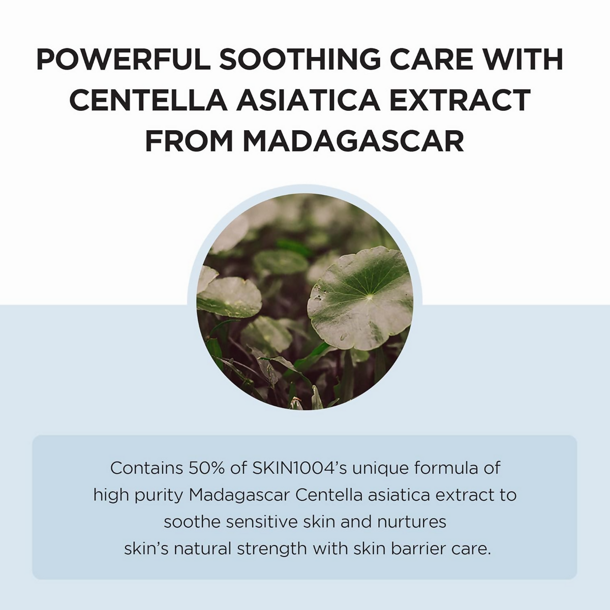 SKIN1004 Madagascar Centella Hyalu-Cica Moisture Cream | Grocsy