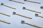 Birdsong Bamboo Toothbrush | Grocsy