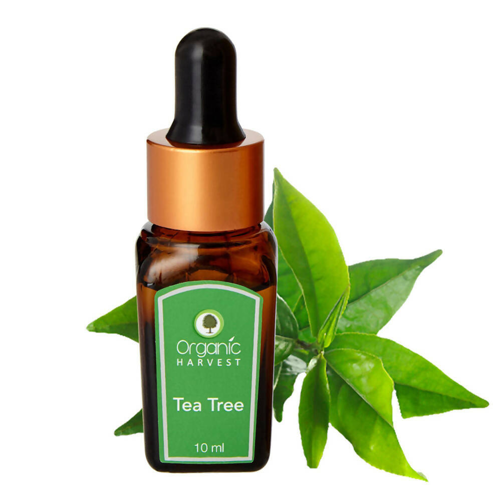 Organic Harvest Tea Tree Essential Oil | Grocsy