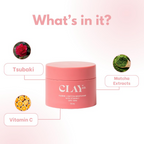 Clayco Tsubaki + Matcha Face Moisturizer With Vitamin C For Dry Skin | Grocsy