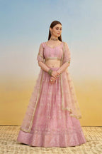 Aastha Fashion Pink Butterfly Net Tone To Tone Cotton Thread Work And Sequence Work Embroidery Wedding Wear Lehenga Choli | Grocsy