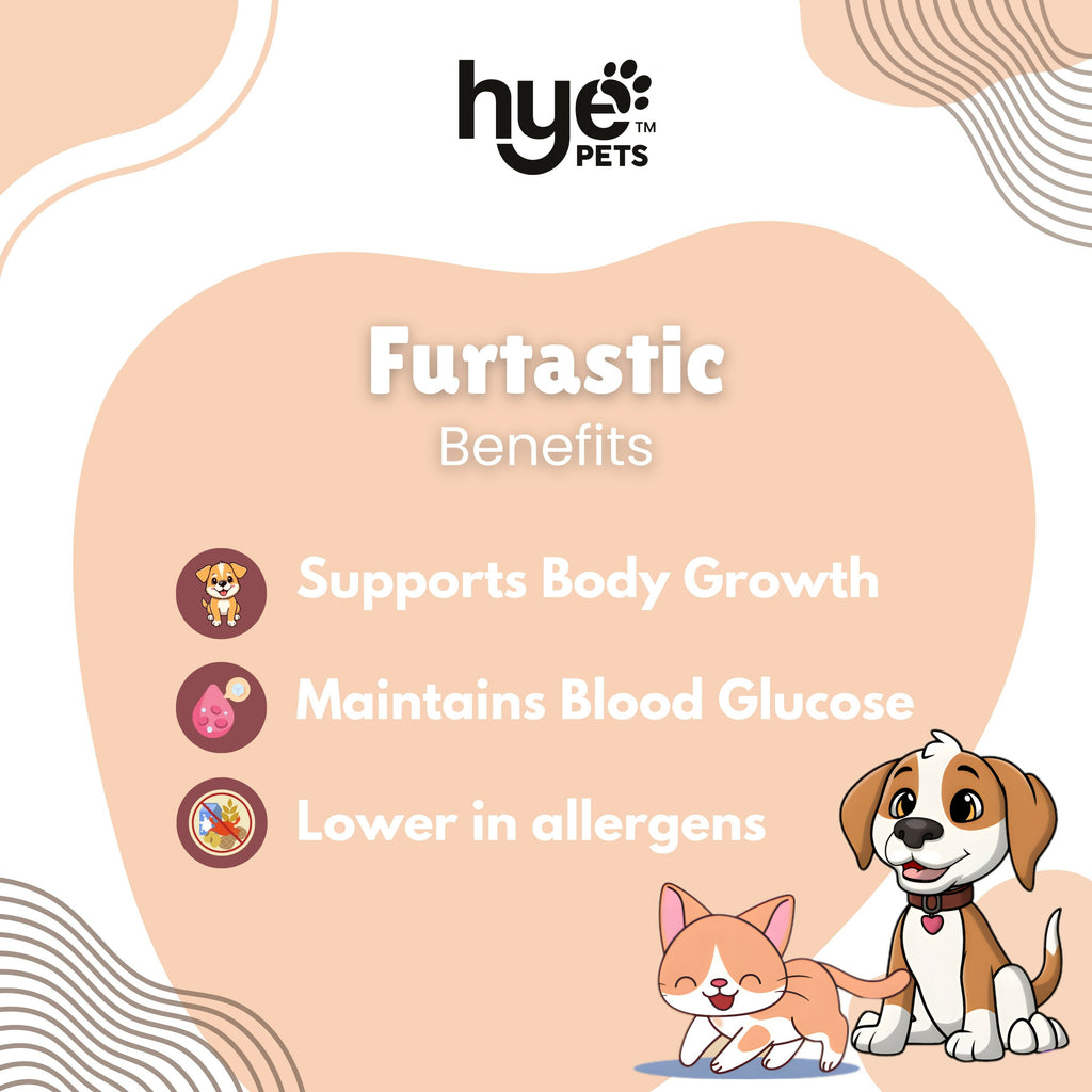 Hye Pets Full Fat Camel Milk Powder For Dogs And Cats | Grocsy