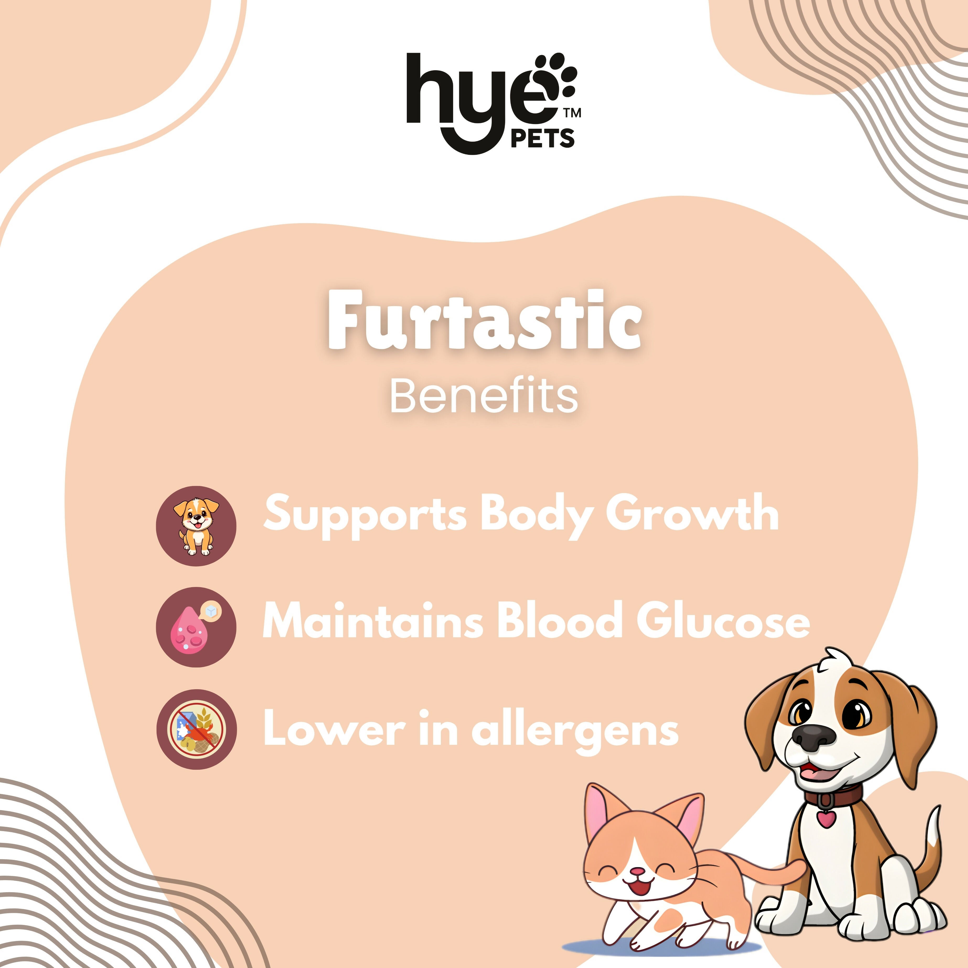 Hye Pets Full Fat Camel Milk Powder For Dogs And Cats | Grocsy