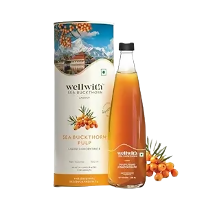 Wellwith Himalayan Sea Buckthorn Pulp | Grocsy