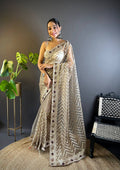 Teeya Creation Chiku Color Butterfly Net Embroidery Work Saree | Grocsy