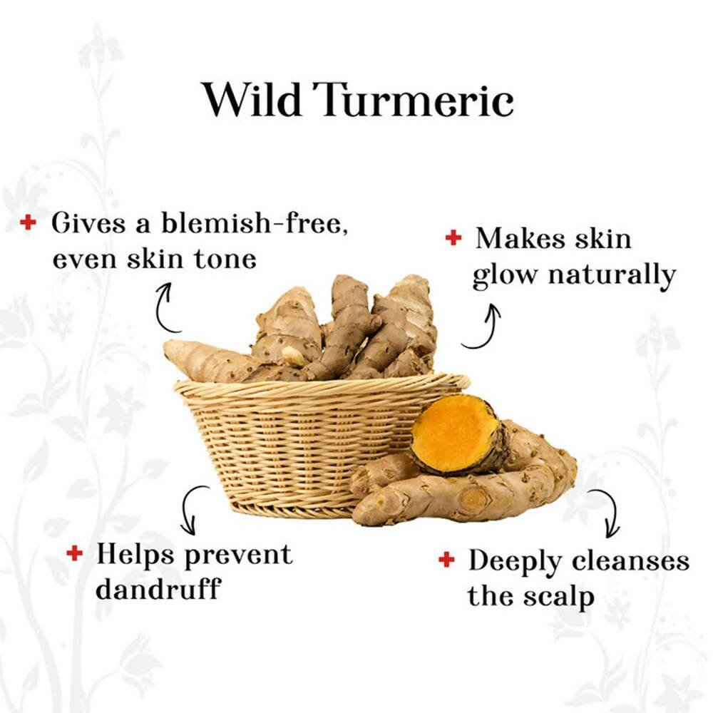 Alps Goodness Wild Turmeric Powder | Grocsy