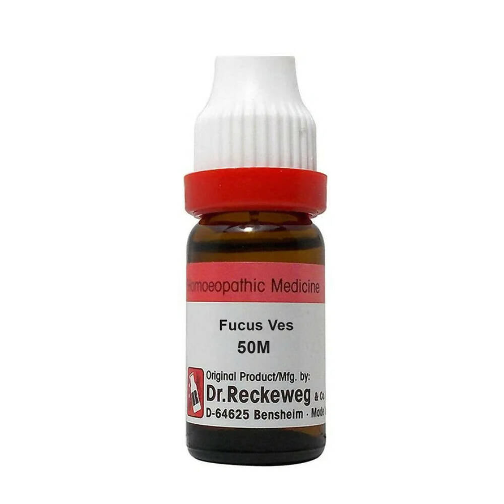 Dr. Reckeweg Fucus Ves Dilution | Grocsy