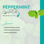 Camia Organic Peppermint Essential Oil | Grocsy