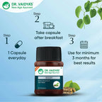 Dr. Vaidya's Giloy Capsules | Grocsy