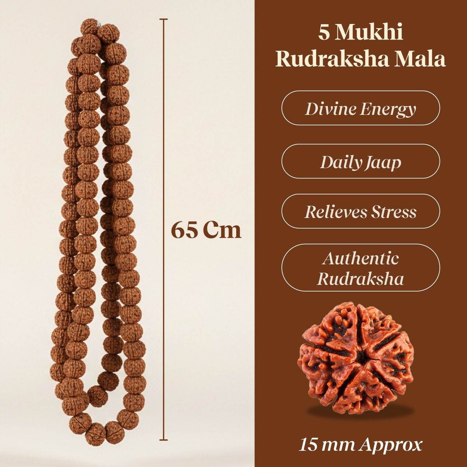 Pujashree Rudraksh Mala Large – Traditional Prayer Mala for Spiritual Healing, Chanting & Devotion | Grocsy