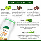 Globus Naturals Amla Reetha Shikakai Shampoo | Grocsy