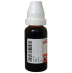 Dr. Willmar Schwabe Germany Phytolacca Dilution | Grocsy