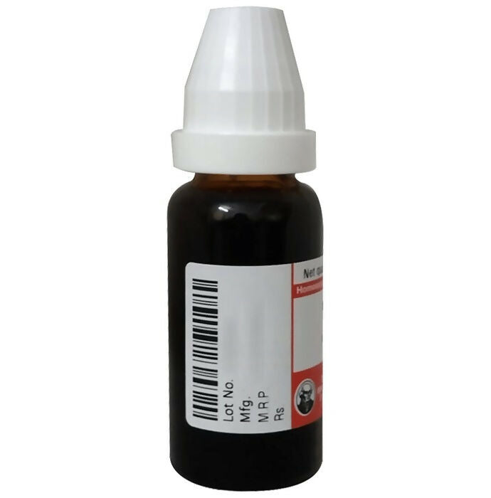 Dr. Willmar Schwabe Germany Phytolacca Dilution | Grocsy