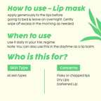 PLIX The Plant Fix Pomegranate Plump Lips, Puddin Mask & Scrub With Peeling Potion | Grocsy