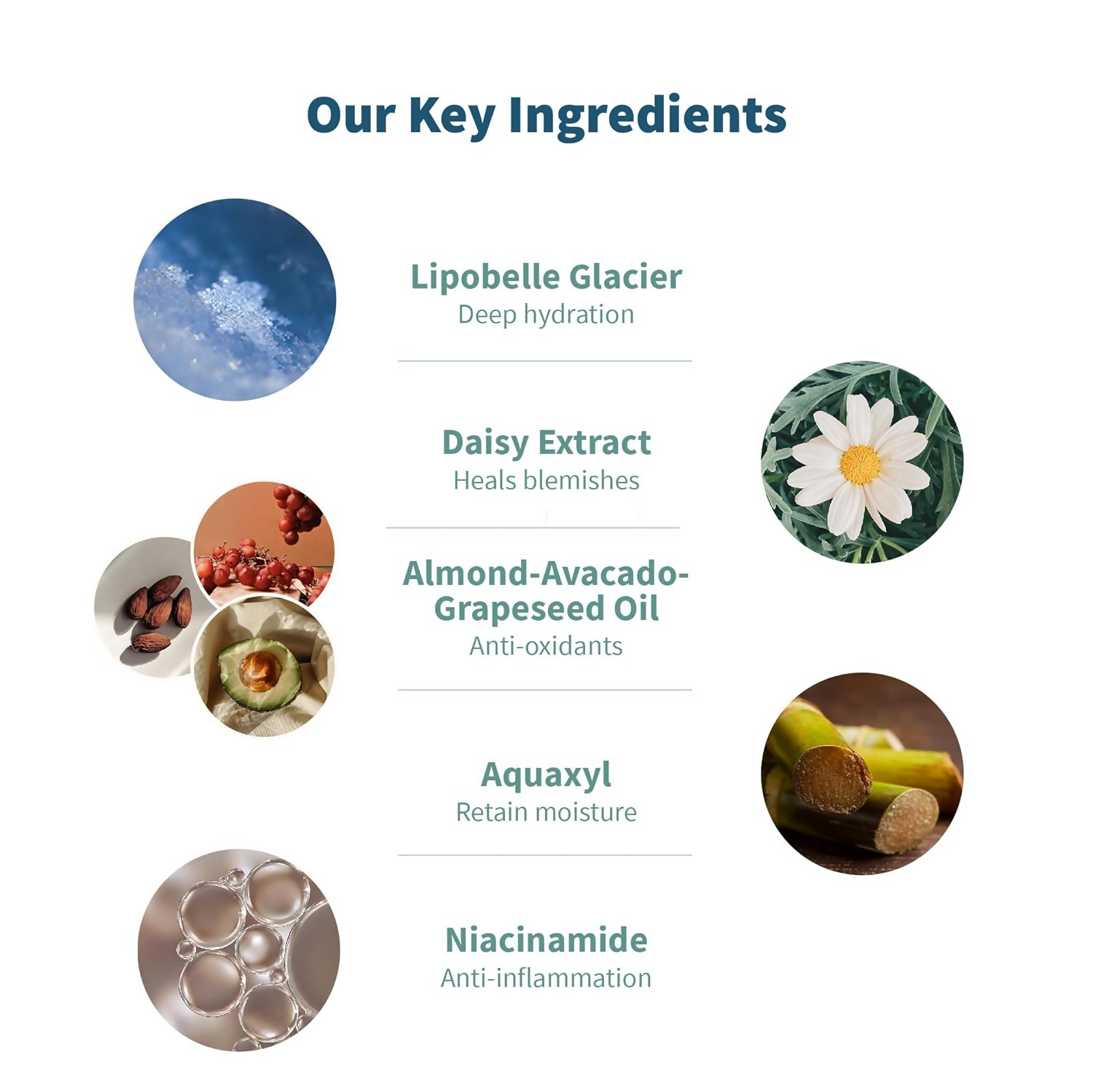 Meola Swiss Glacier Day Cream With Avocado, Almond & Grapeseed Oil | Grocsy