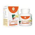 Pentacare Ayurveda Guduchi Ghanavati | Grocsy