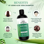 Nake Organica Rosemary Anti Hair Fall Shampoo | Grocsy