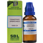 SBL Homeopathy Ceanothus Americanus Dilution | Grocsy