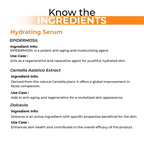 Dermabay Hydrating Serum Advanced Formula with Hyaluronic acid & Niacinamide | Grocsy