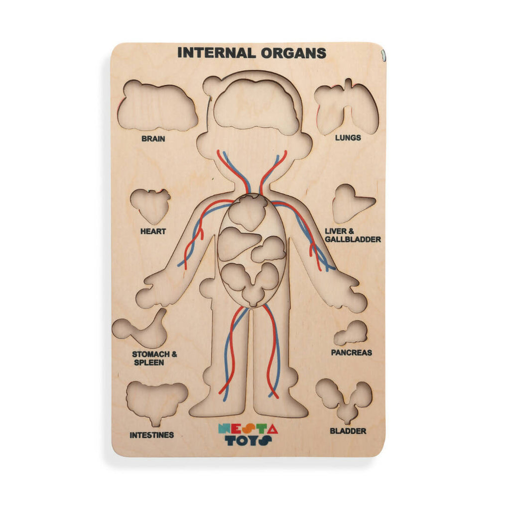 Nesta Toys Human Body | Internal Organs Wooden Puzzle | Grocsy