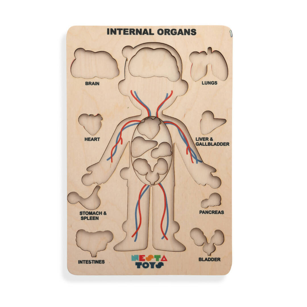 Nesta Toys Human Body | Internal Organs Wooden Puzzle | Grocsy
