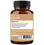 Minature Ginger Tablets | Grocsy