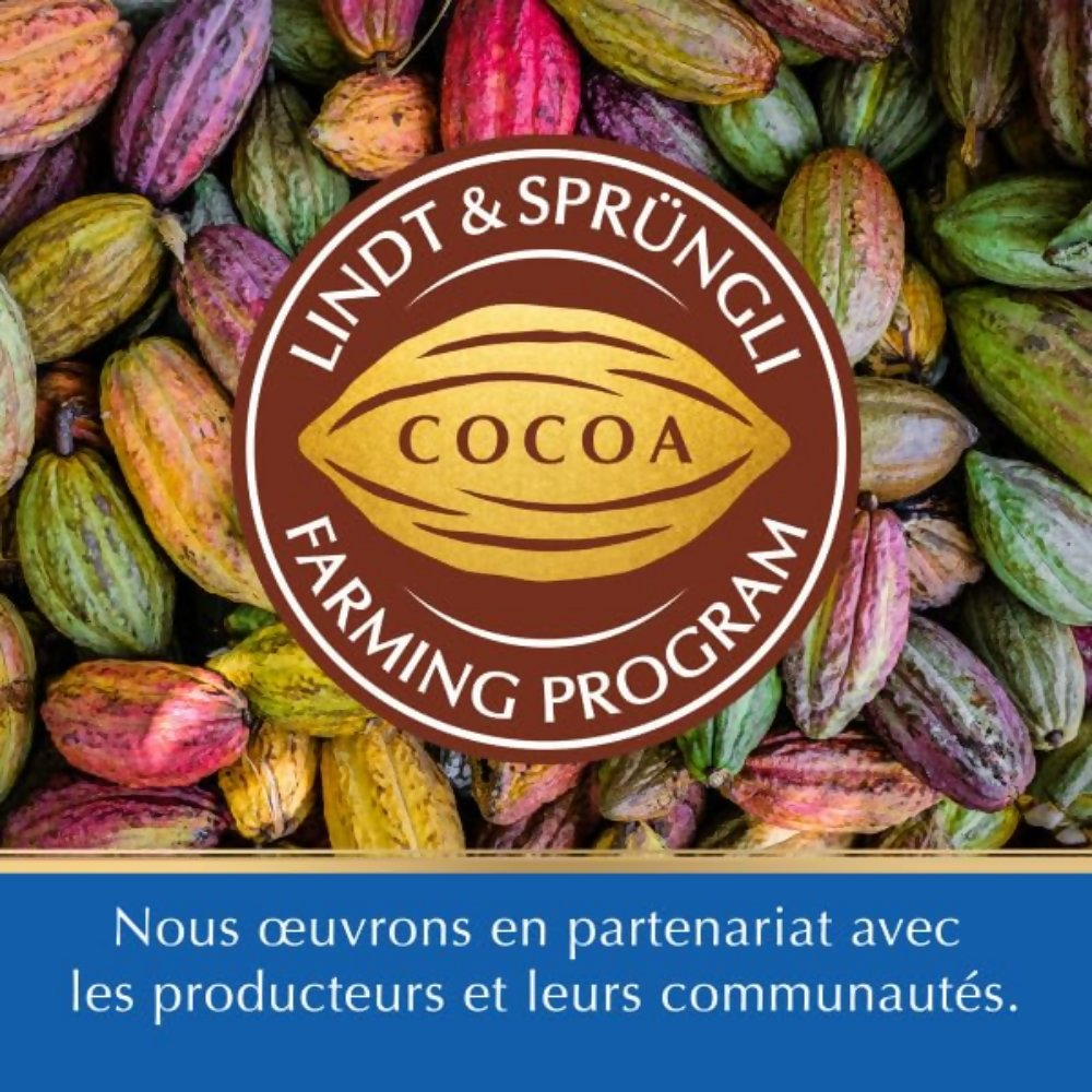 Lindt Excellence Extra Creamy Milk Chocolate | Grocsy