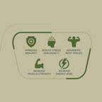 Rajah Ayurveda Ashwagandha Tablets | Grocsy