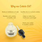 The Beauty Co. Milk & Honey Cuticle Oil for Nails | Grocsy
