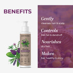Jagat Pharma Natural Biotin Shampoo - Unlock Your Hair's Potential with Natural Biotin Power! | Grocsy