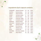 Shreevarma Rakkshak Capsules | Grocsy
