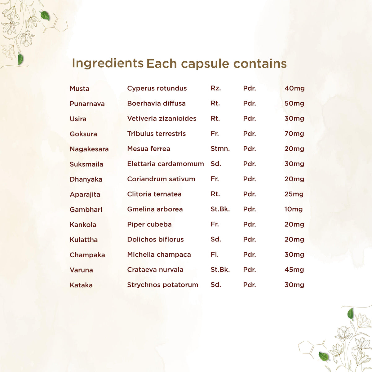 Shreevarma Reknown Capsules | Grocsy