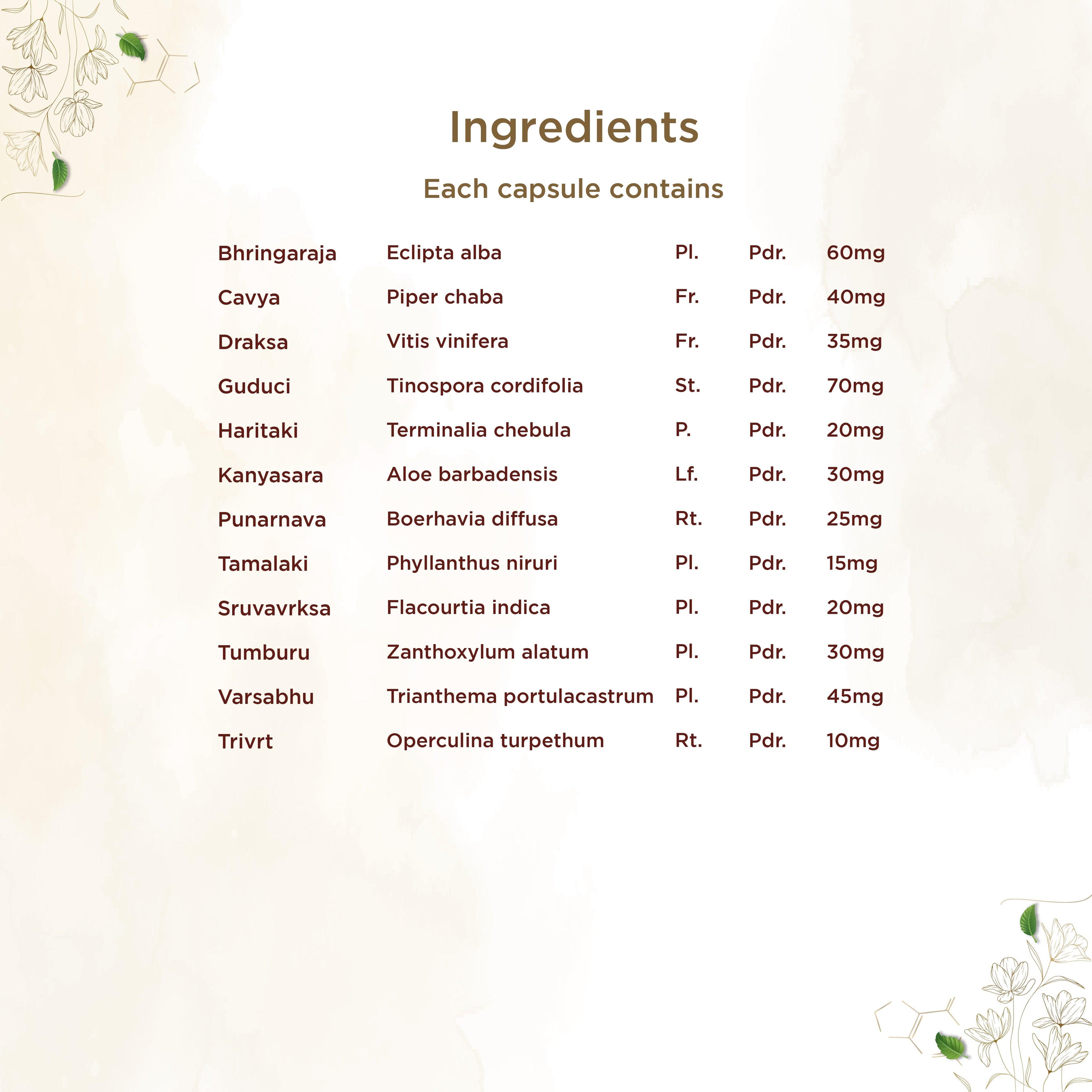 Shreevarma Yakruth Care Capsules | Grocsy