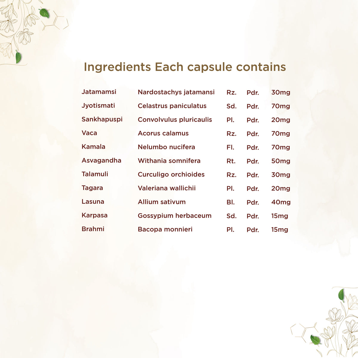 Shreevarma Manasa Capsules | Grocsy
