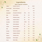 Shreevarma Orthocure Sg Capsules | Grocsy
