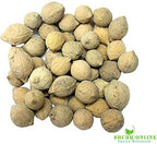 Shudh Online Putrajeevak Beej powder/Putrajivak Seeds powder | Grocsy