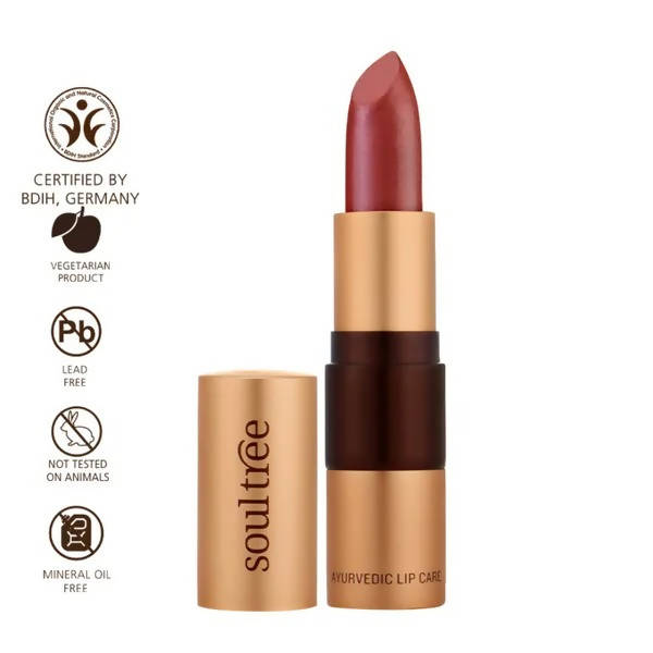 Soultree Ayurvedic Lipstick Wild Honey 811 | Grocsy