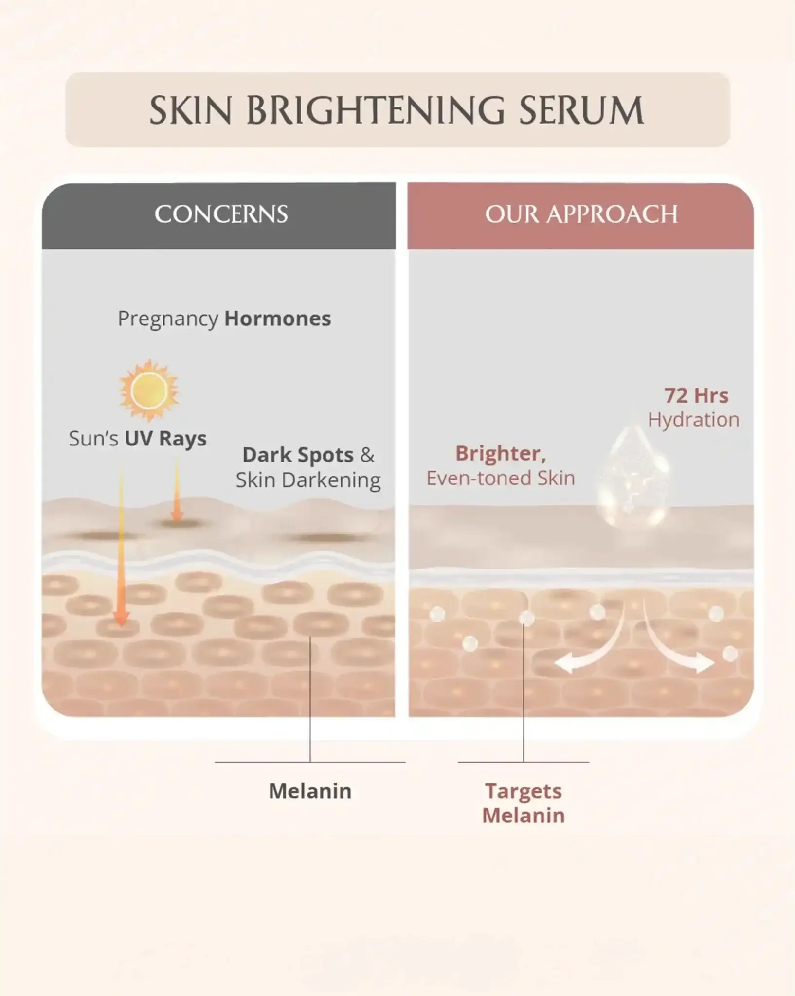 AreoVeda Skin Repair Bundle | Grocsy