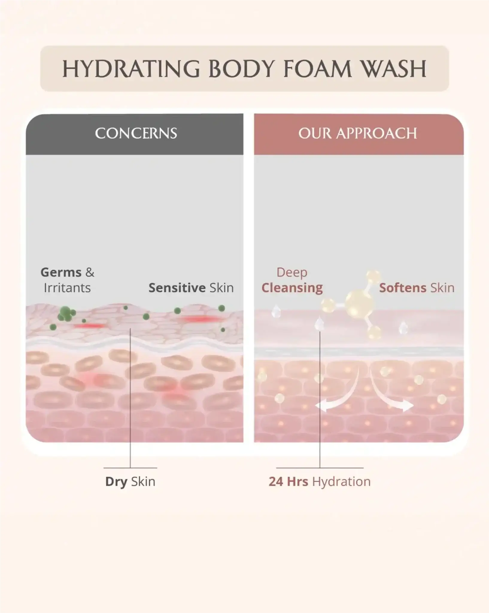 AreoVeda Skin Repair Bundle | Grocsy