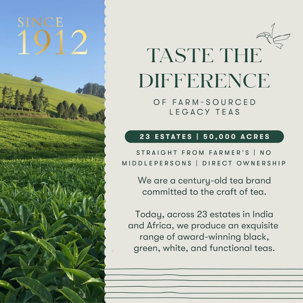 Luxmi Estates Japanese Sencha Green Tea | Grocsy