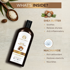 The Man Company Blanc Body Lotion For Men | Grocsy