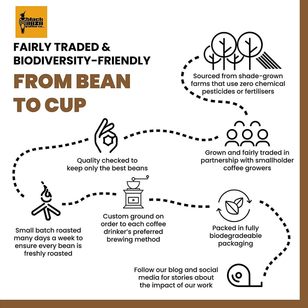 Black Baza Coffee Frogmouth | Grocsy