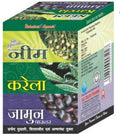 Shakumbari Ayurveda Neem Karela Jamun Powder | Grocsy