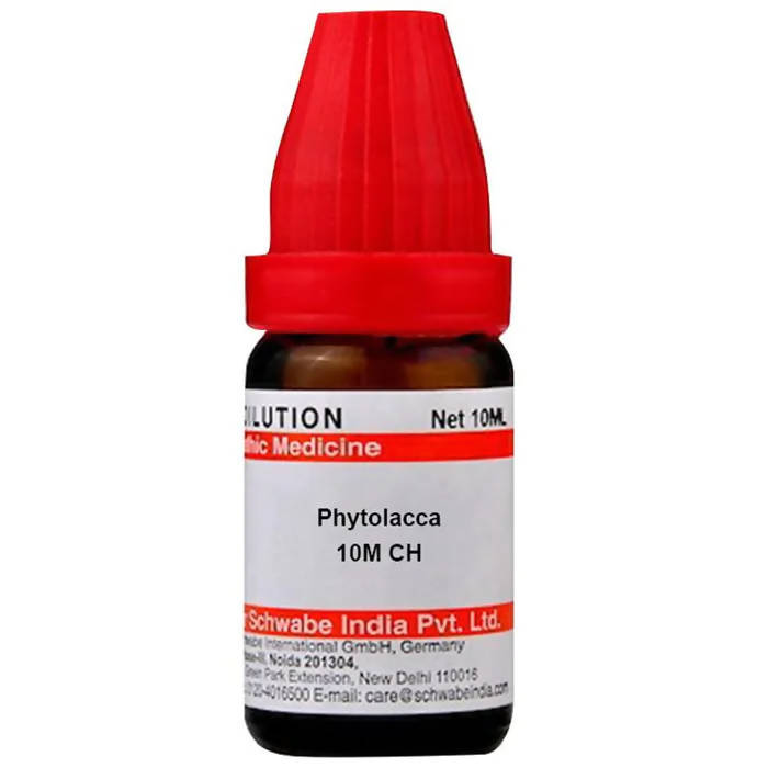 Dr. Willmar Schwabe India Phytolacca Dilution | Grocsy