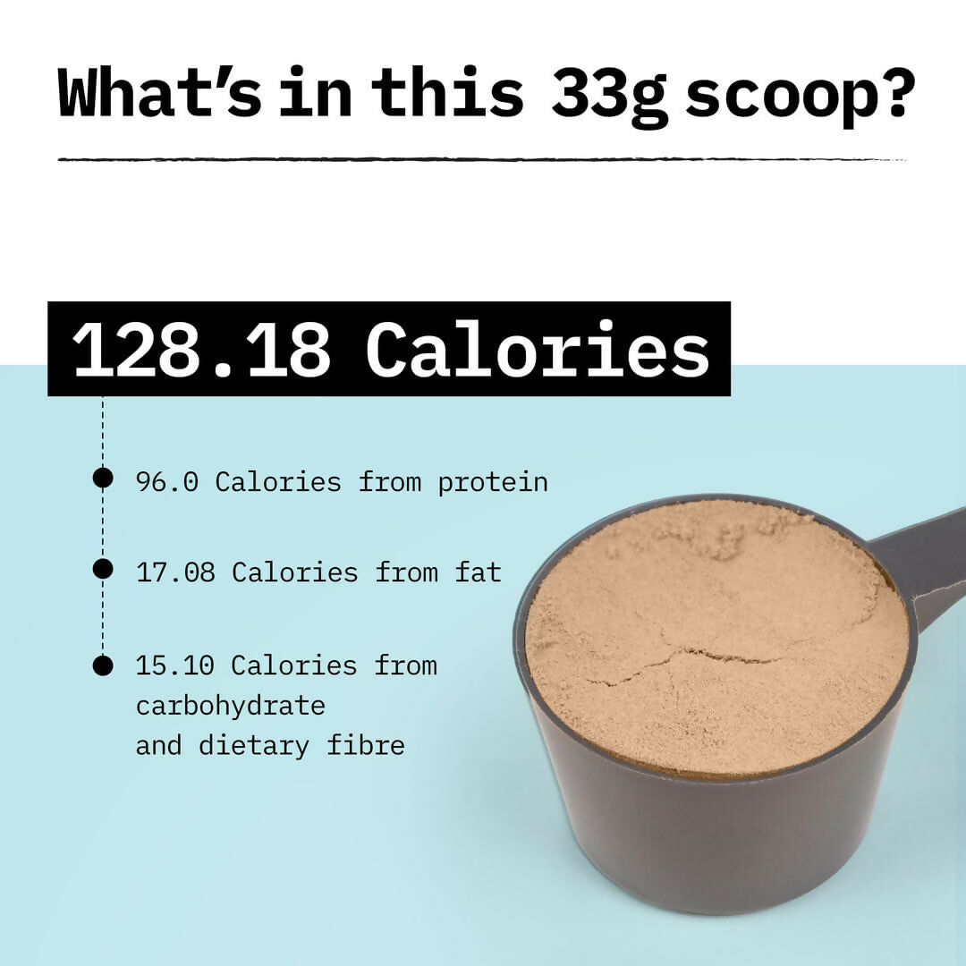 Only What's Needed 24g Whey Protein Concentrate Powder - Cocoa | Grocsy