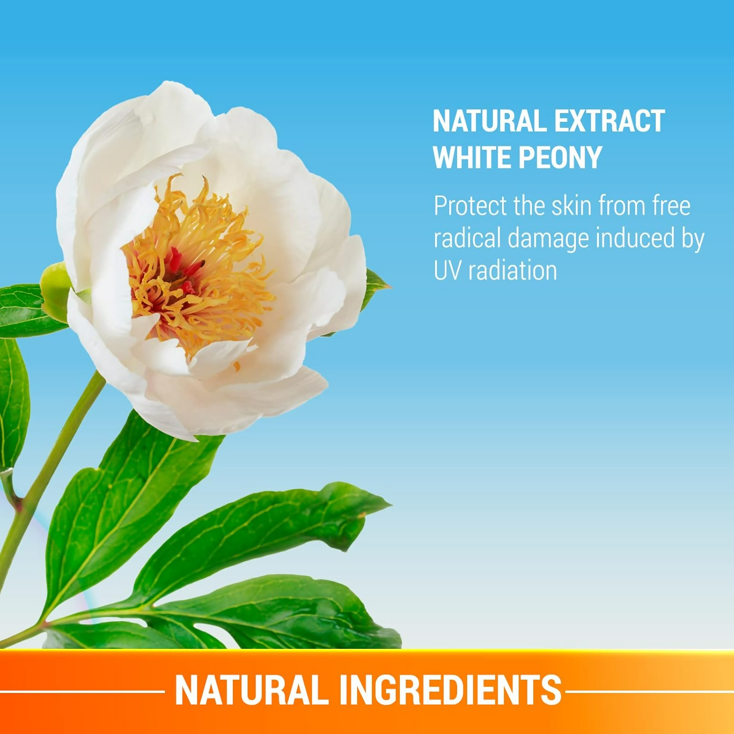 Lotus Herbals UV Shield Whitening Gel Creme | Grocsy