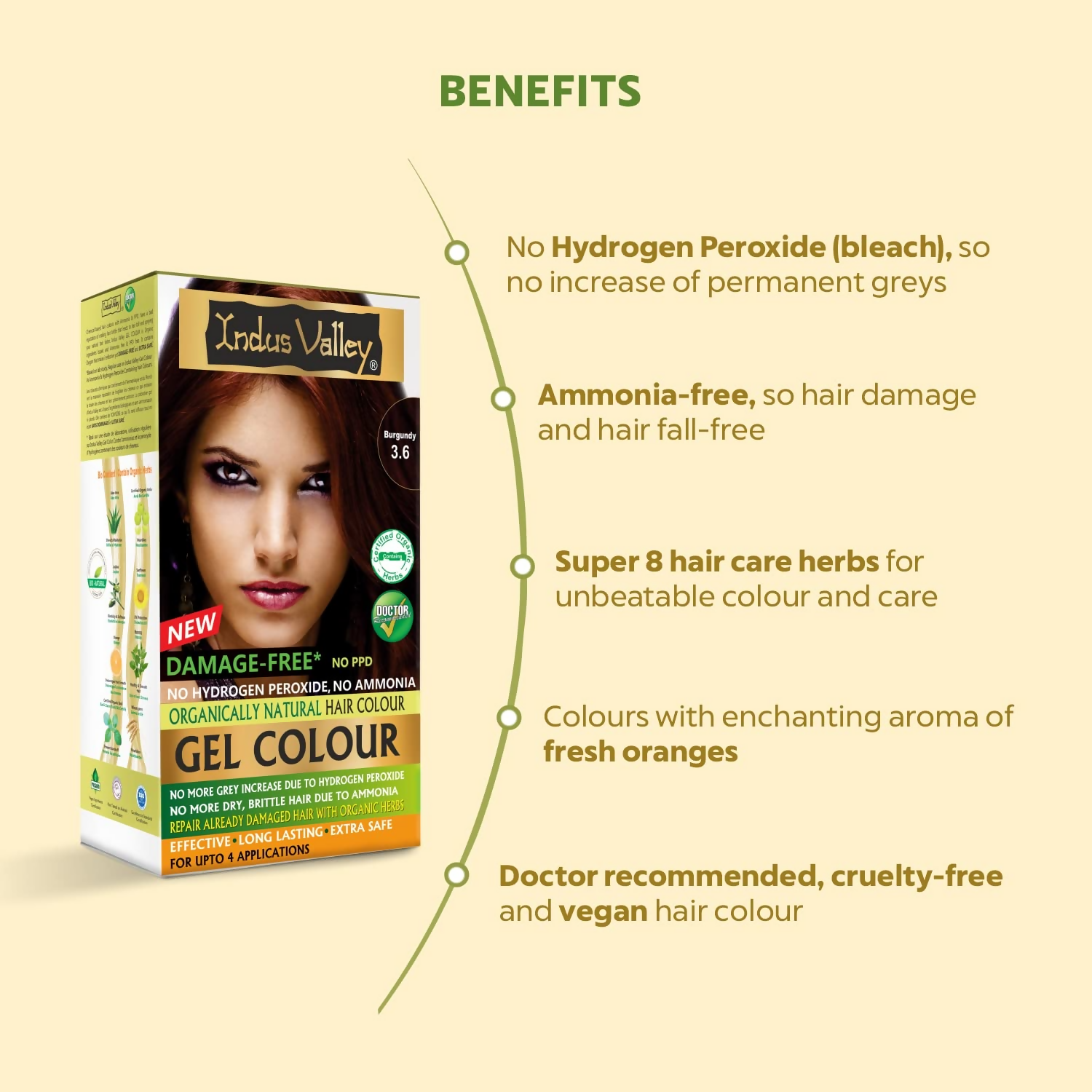 Indus Valley Damage-Free Gel Hair Color- Burgundy | Grocsy