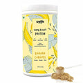Onelife Plant Protein Banana Caramel | Grocsy