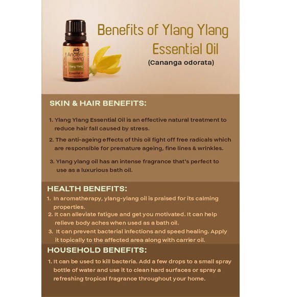 Ancient Living Ylang Ylang Essential Oil | Grocsy