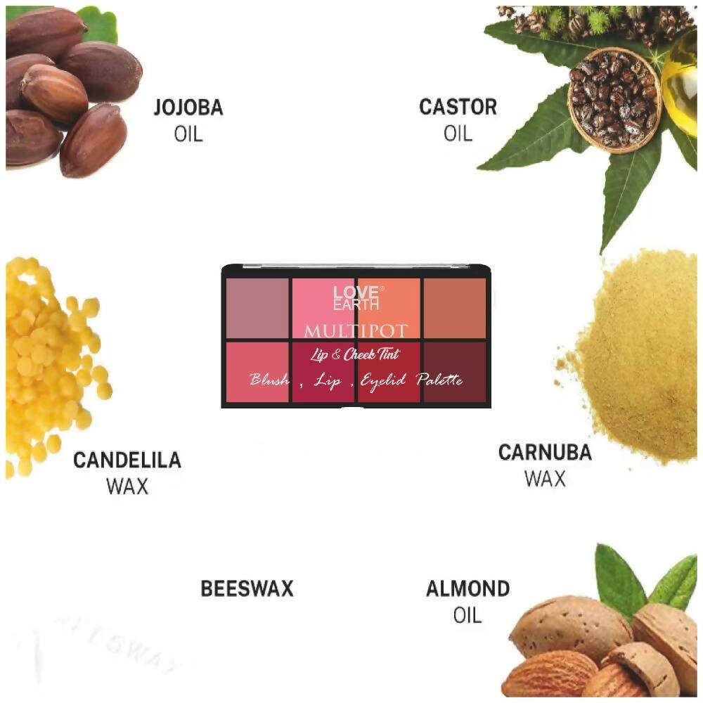 Love Earth Blush, Lips, Eyelid Palette With Richness Of Jojoba Oil And Vitamin E | Grocsy